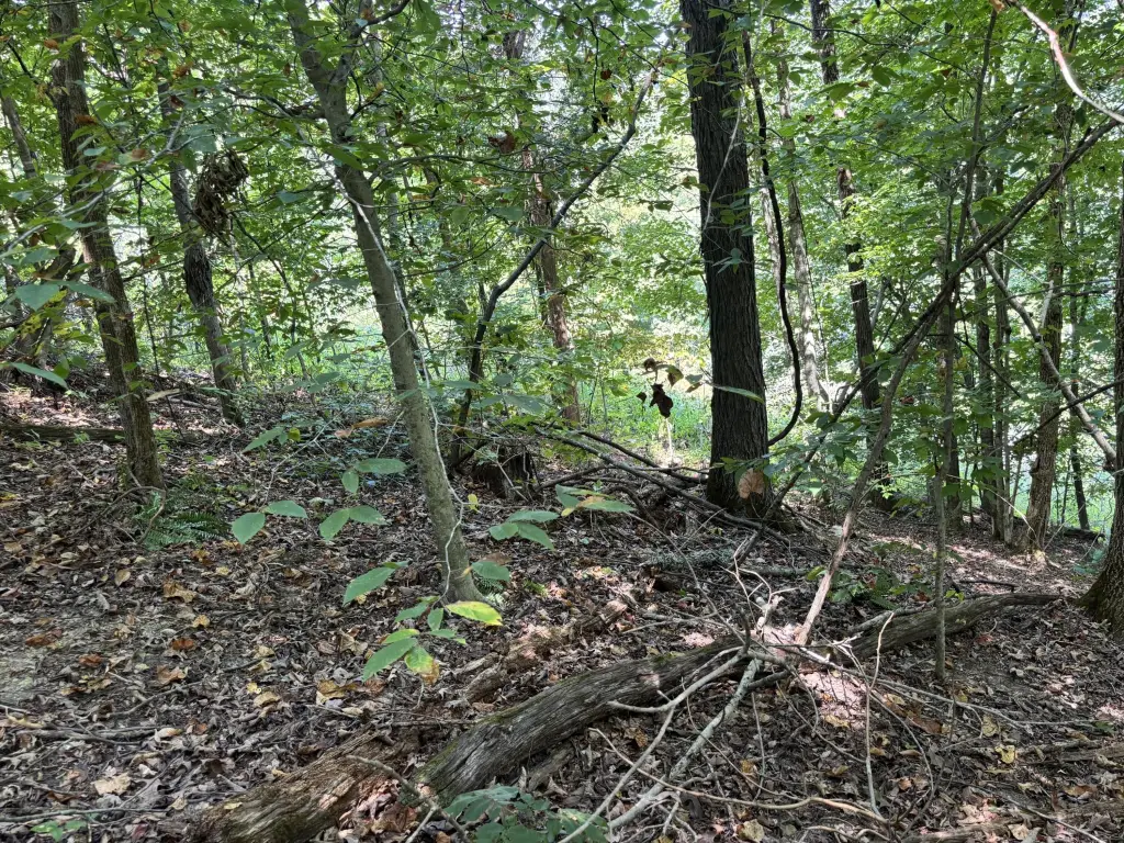 Picture 16