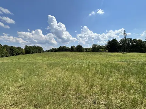 Mostly Cleared Recreational Land