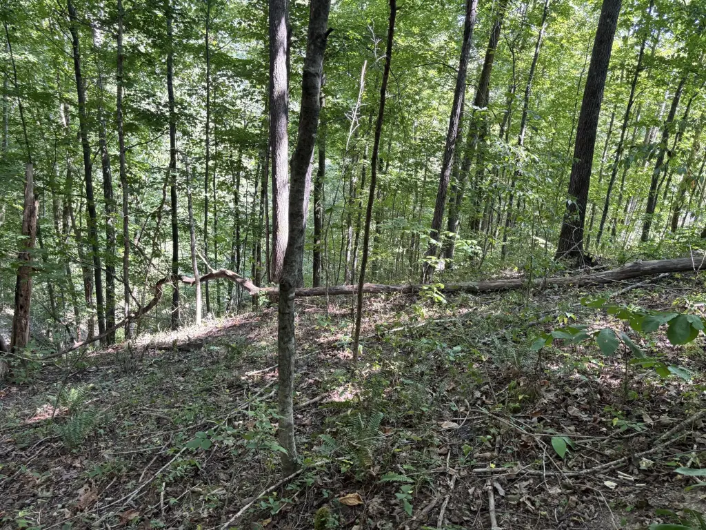 Picture 17