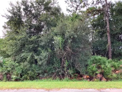 Residential Land in Orlando Estates