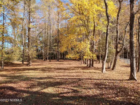 Wooded Homesite Near Historic Washington