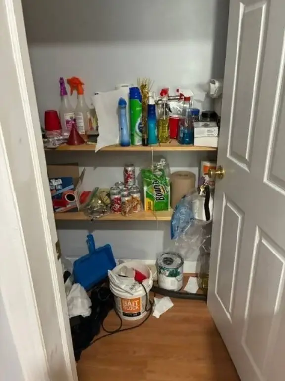 Picture 22
