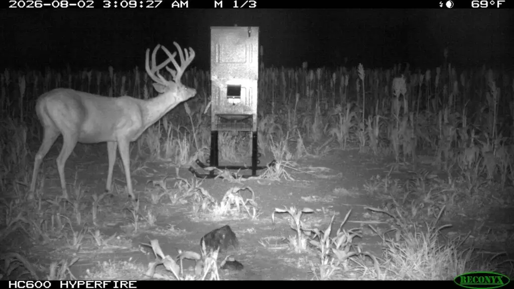 Picture 14