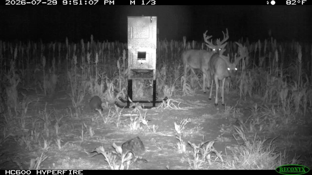 Picture 6
