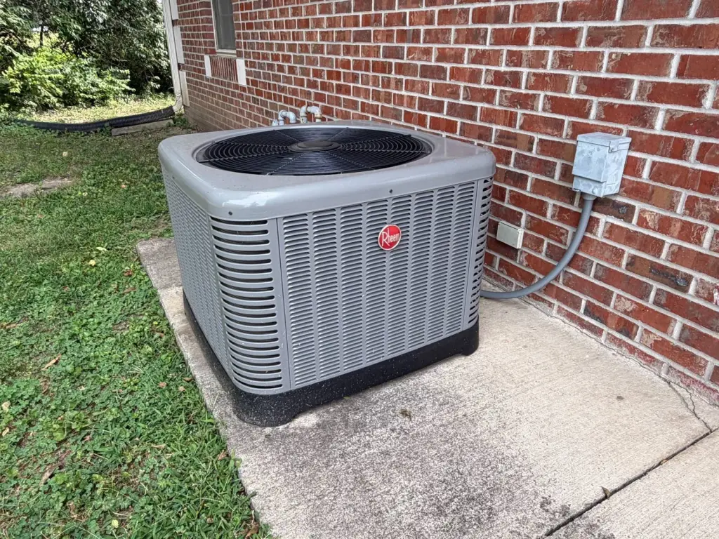 Picture 5