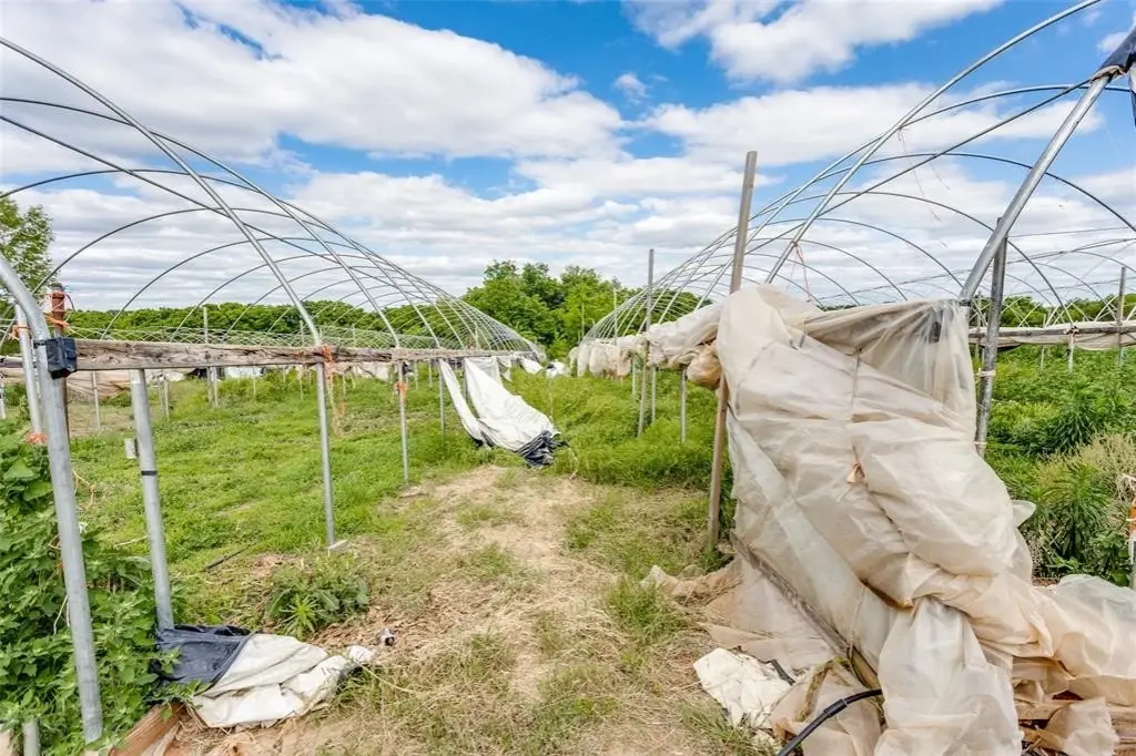 Picture 28