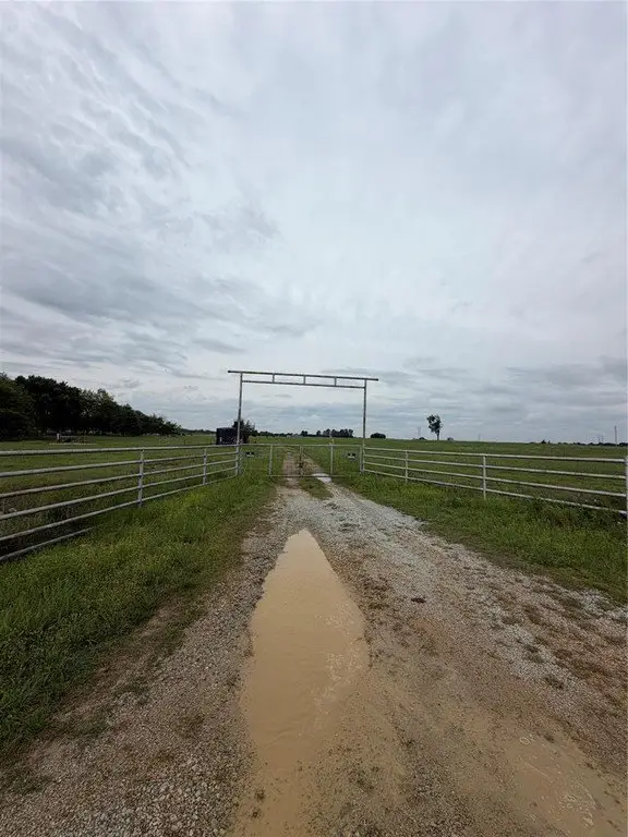 Picture 9
