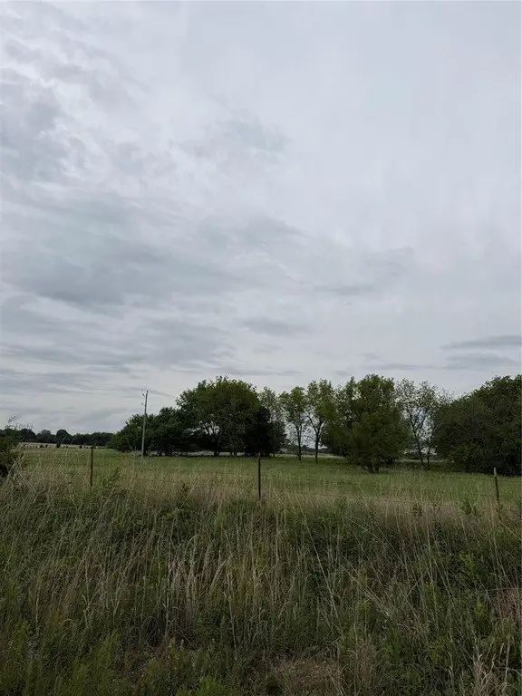 Picture 12