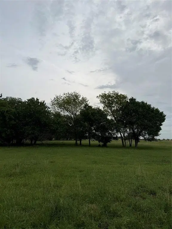 Picture 7