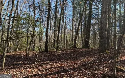 Land in Blue Ridge, GA