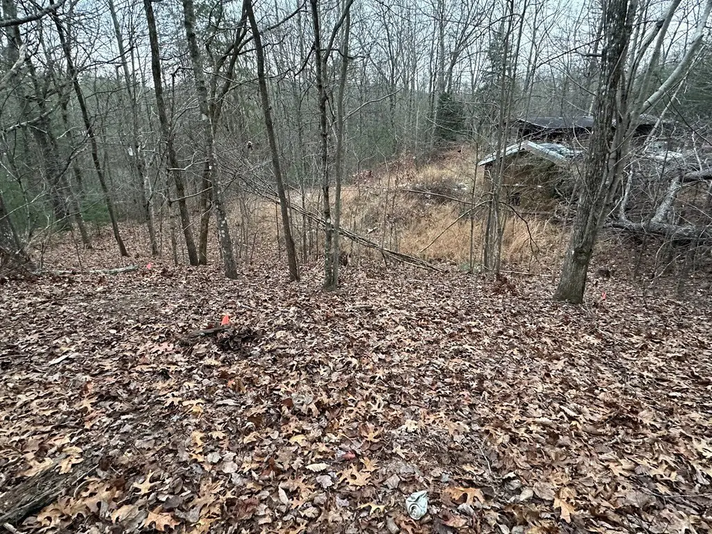Picture 11