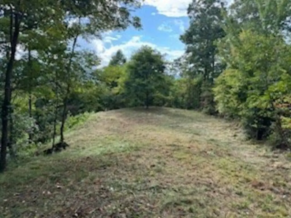Picture 5