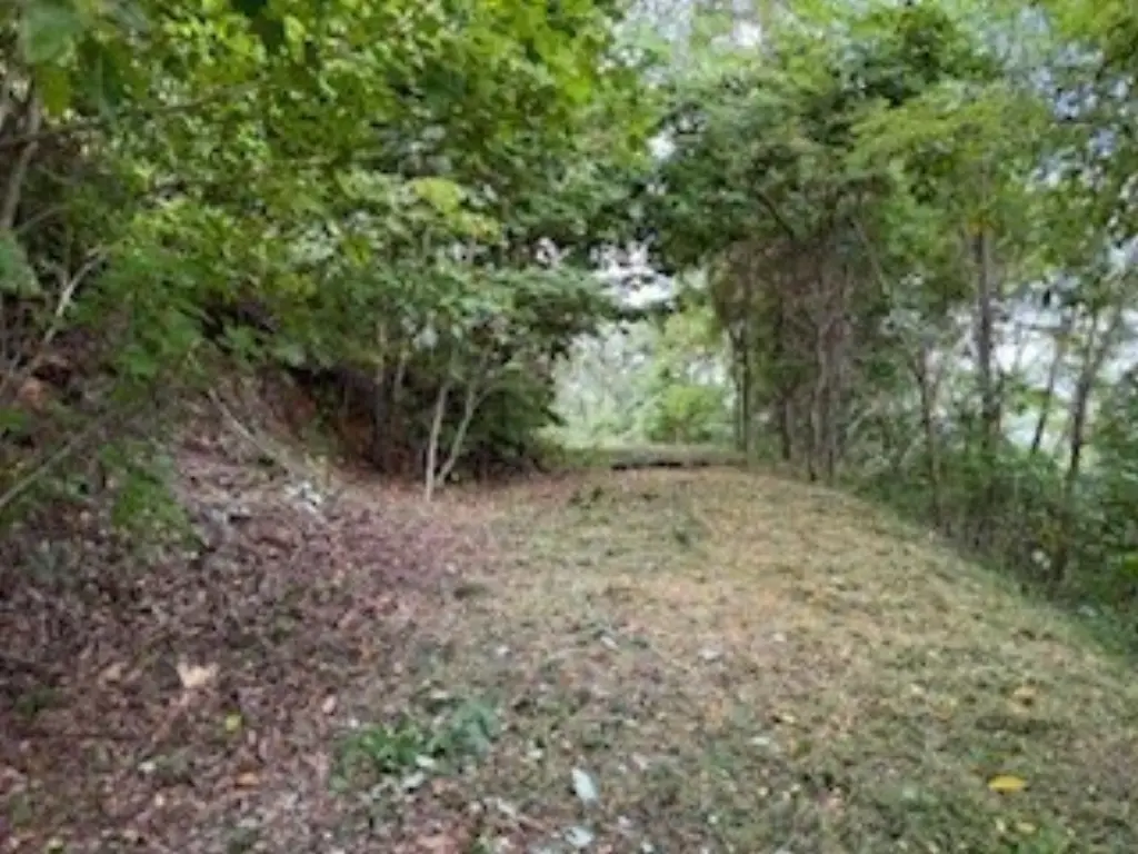 Picture 3