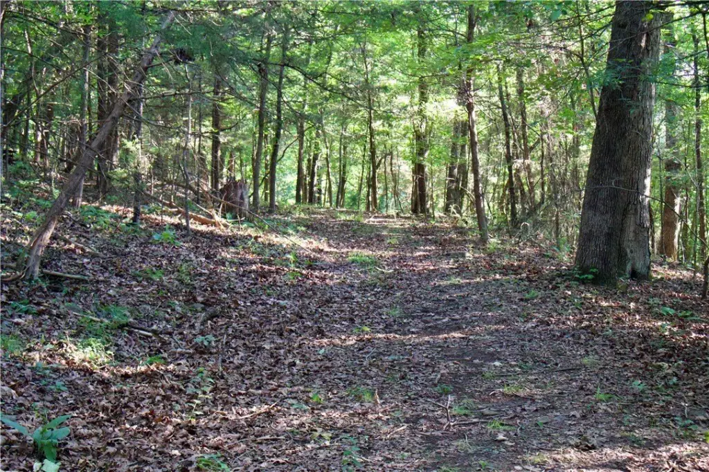 Picture 31