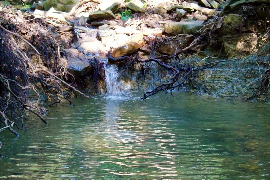 Picture 49
