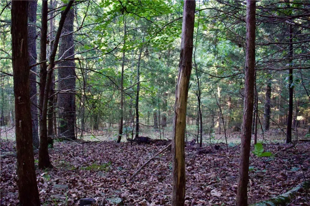 Picture 21