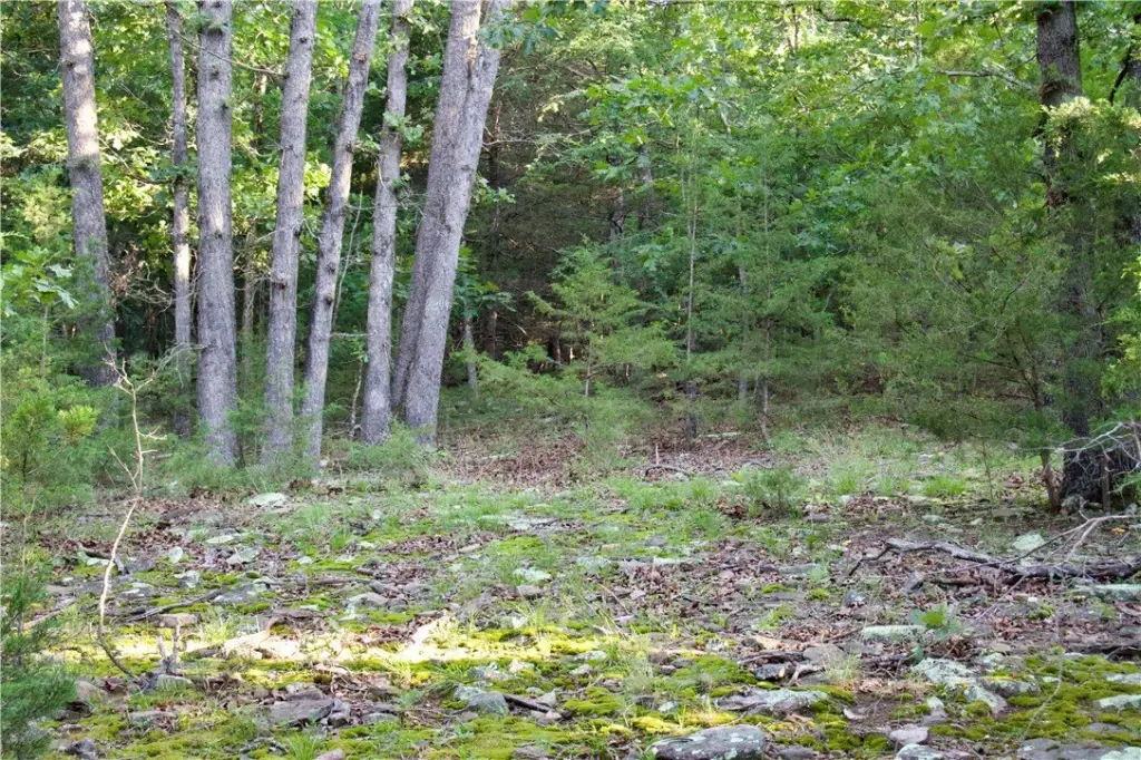 Picture 28