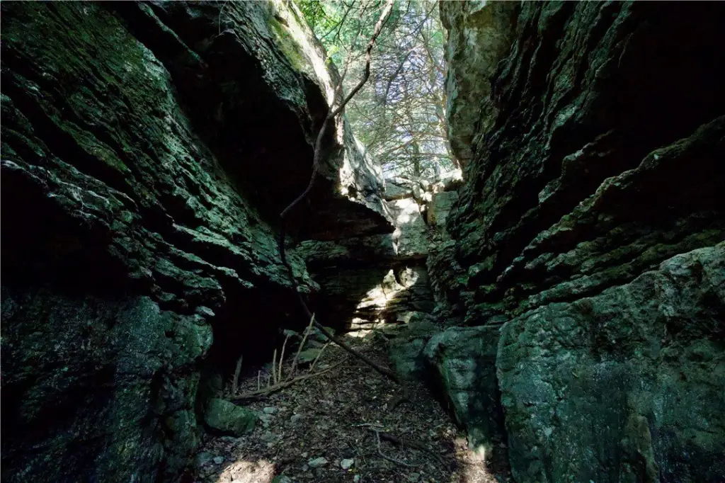 Picture 40
