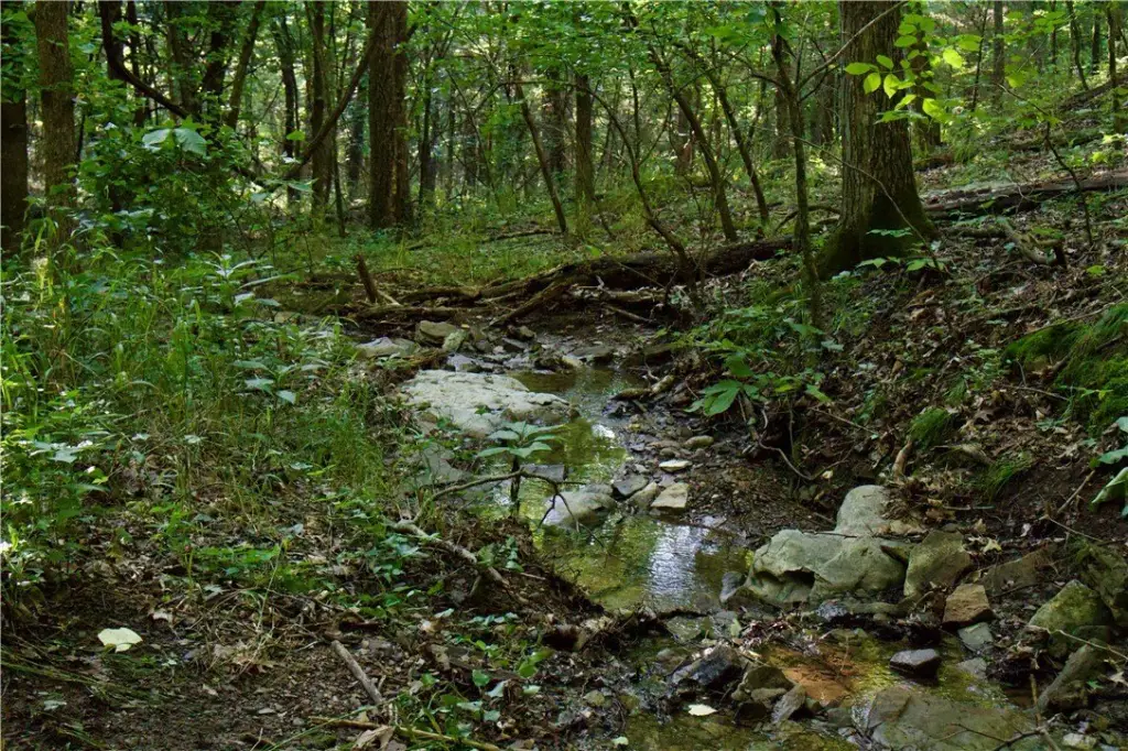Picture 32