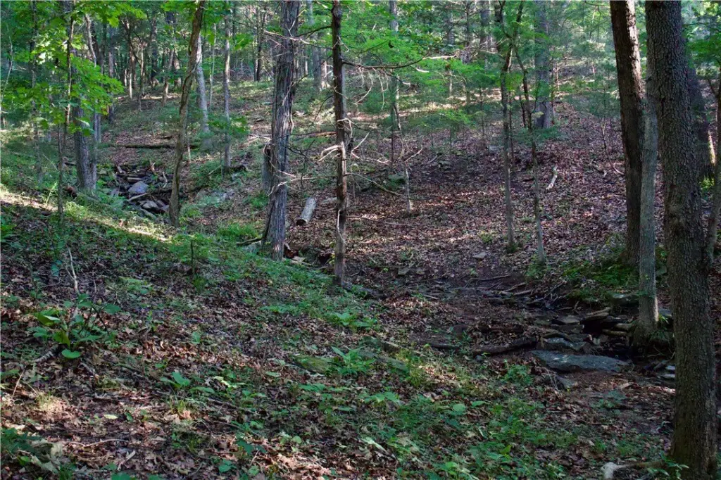 Picture 25