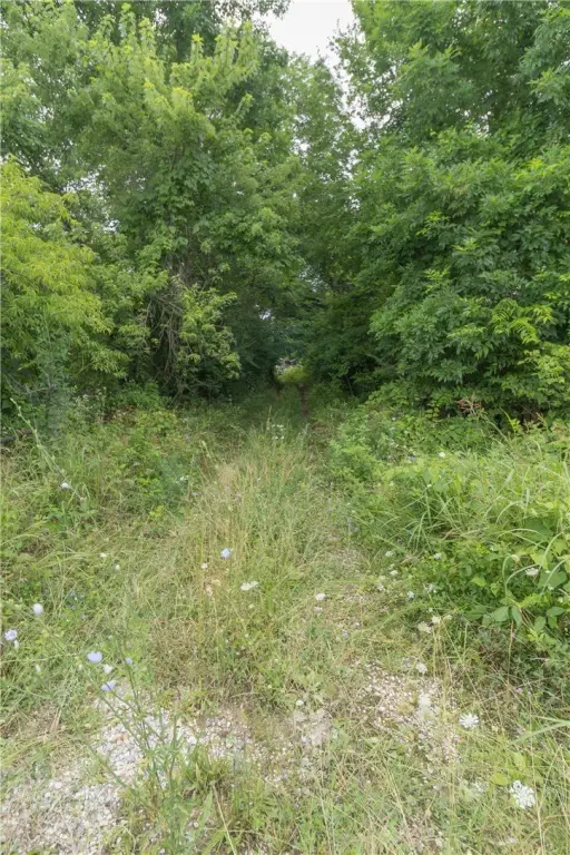 Picture 22