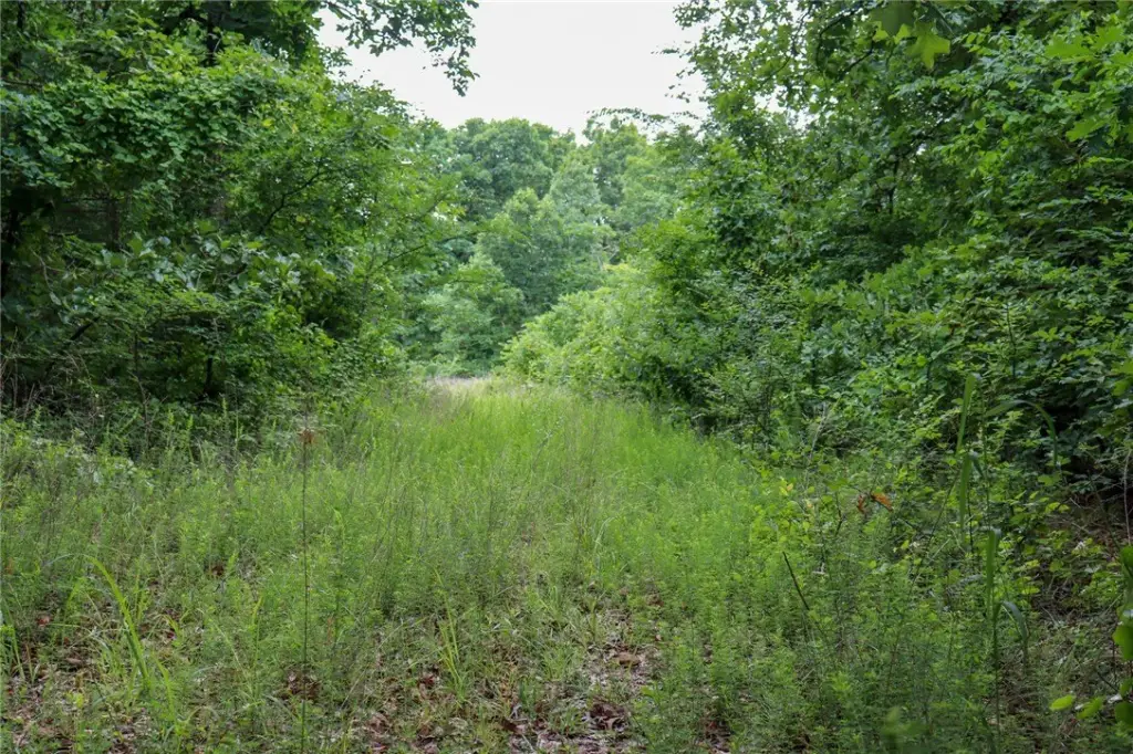 Picture 14