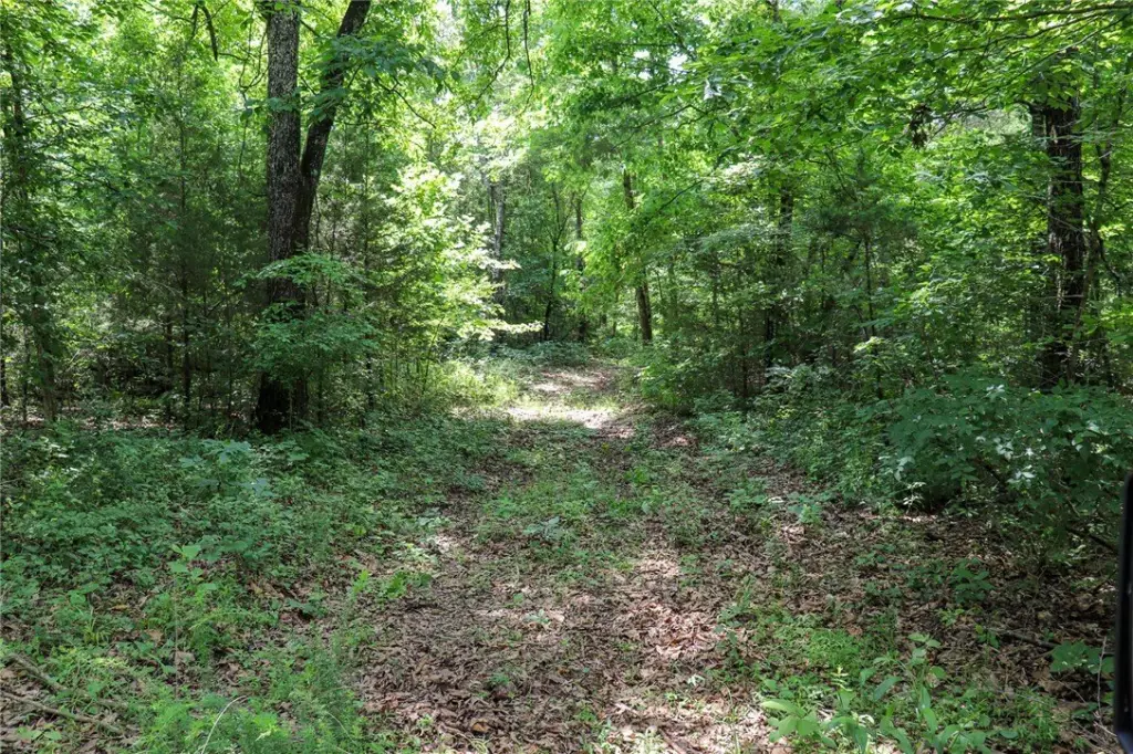 Picture 33
