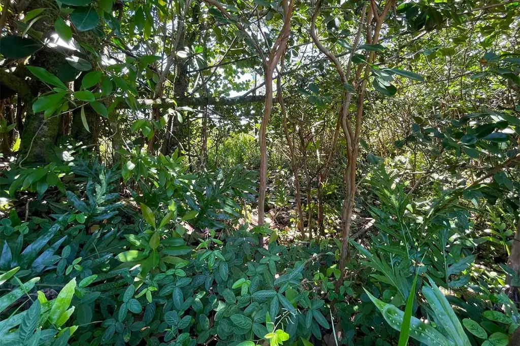 Picture 21