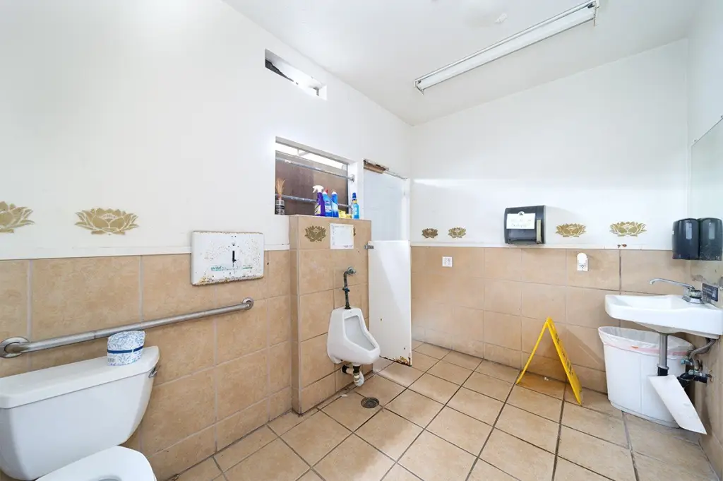 Picture 14