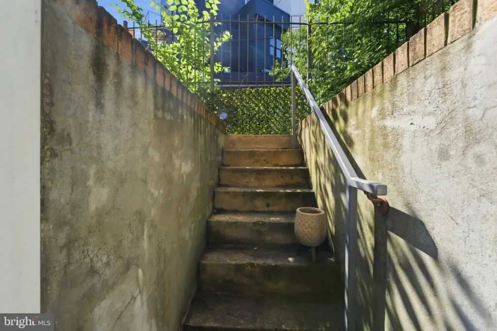 Picture 24