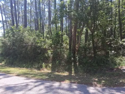 Dauphin Island Wooded Lot