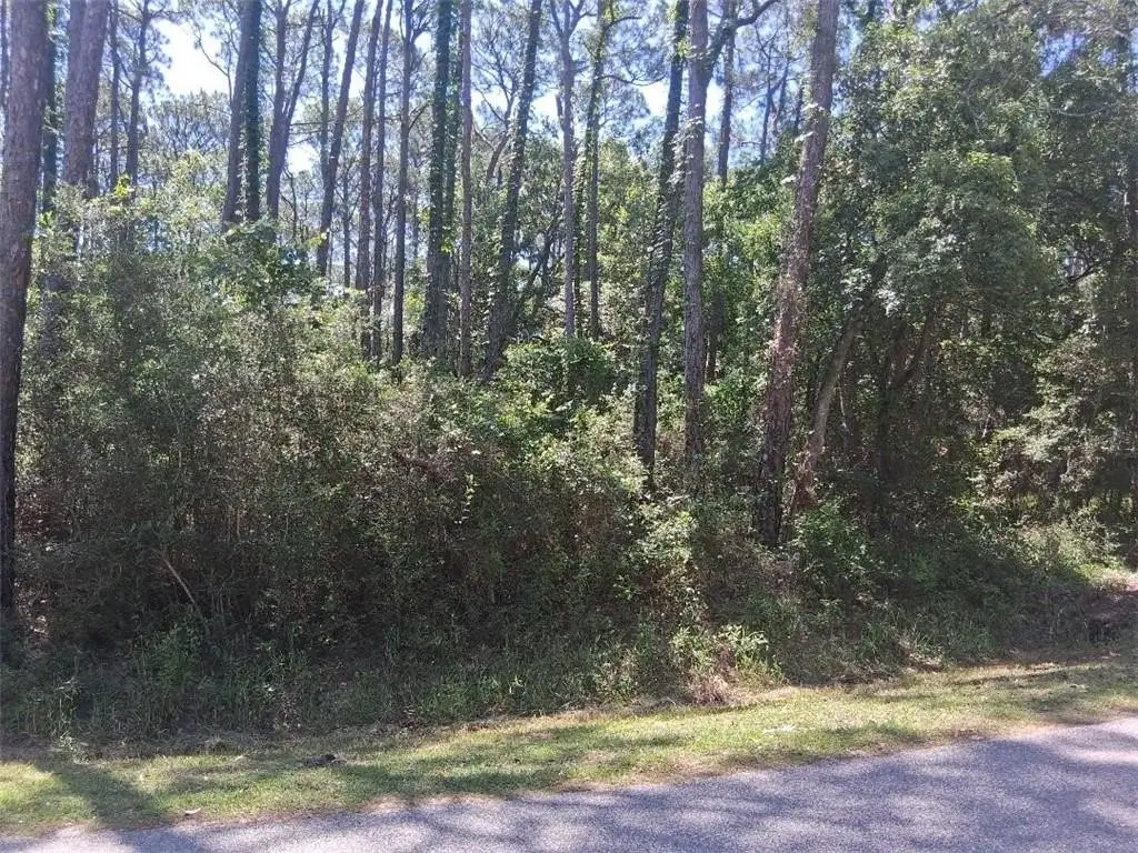 Picture 6