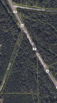 Georgetown Land with Mature Timber