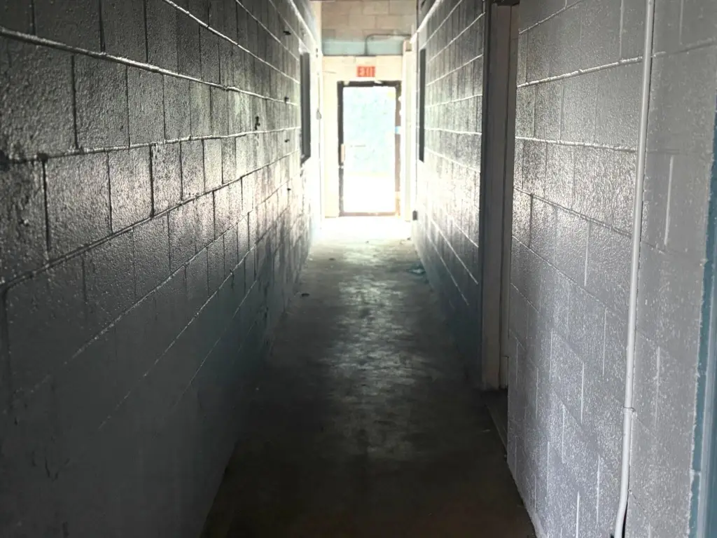 Picture 16