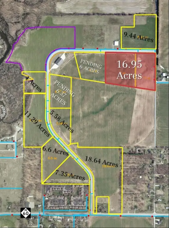 Picture 10