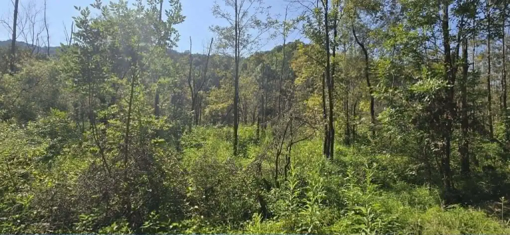 Picture 6