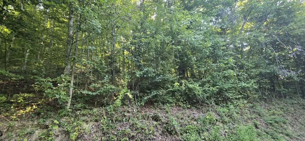 Picture 18