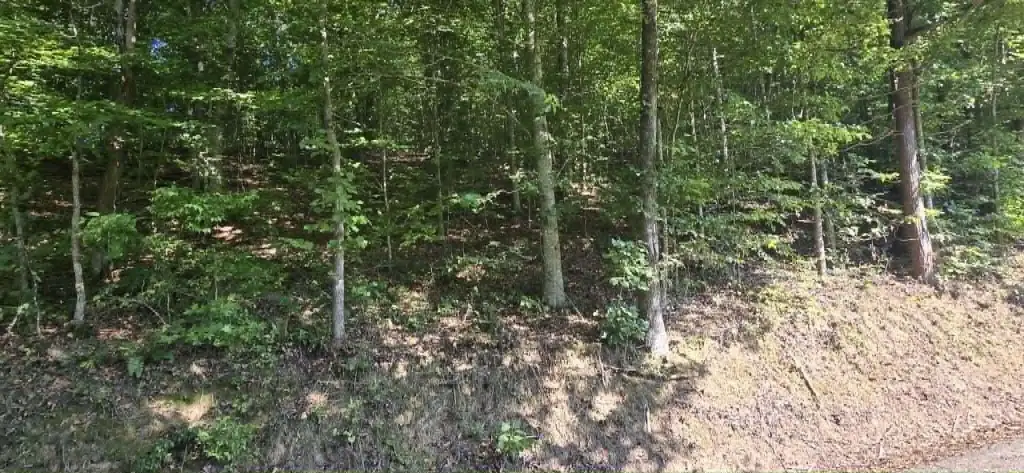 Picture 9
