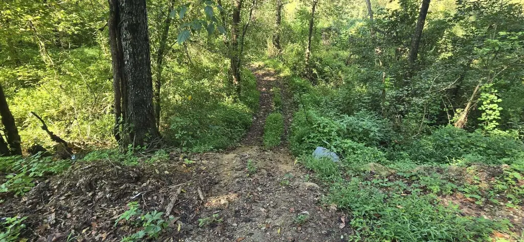 Picture 16