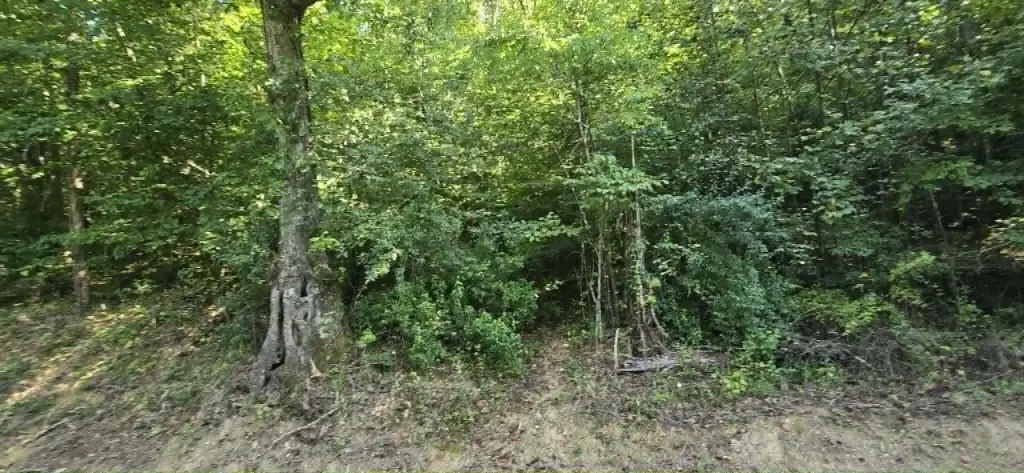Picture 13