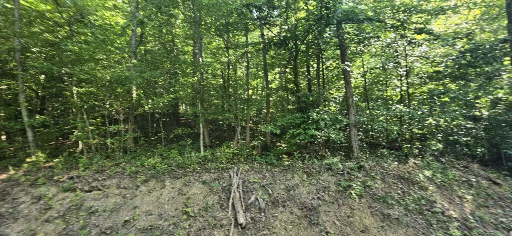 Picture 15