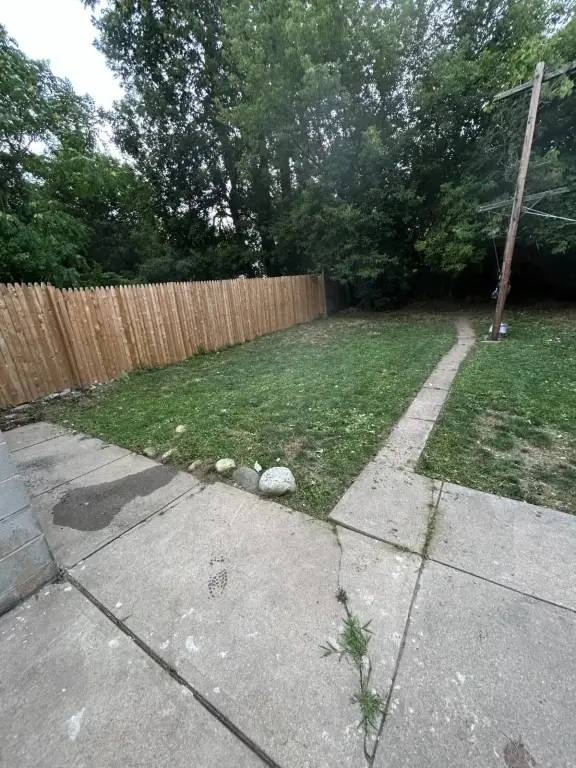 Picture 3