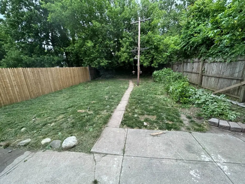 Picture 4