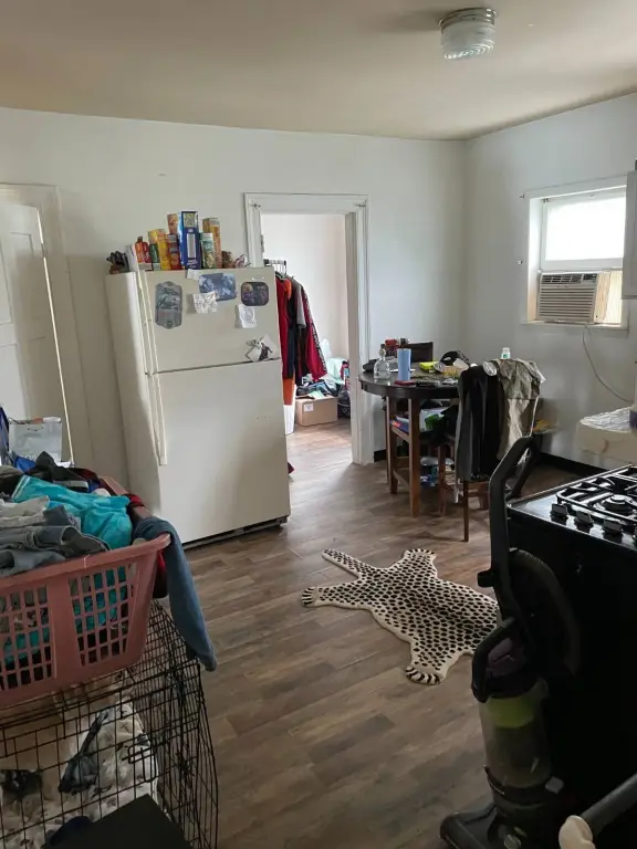 Picture 14