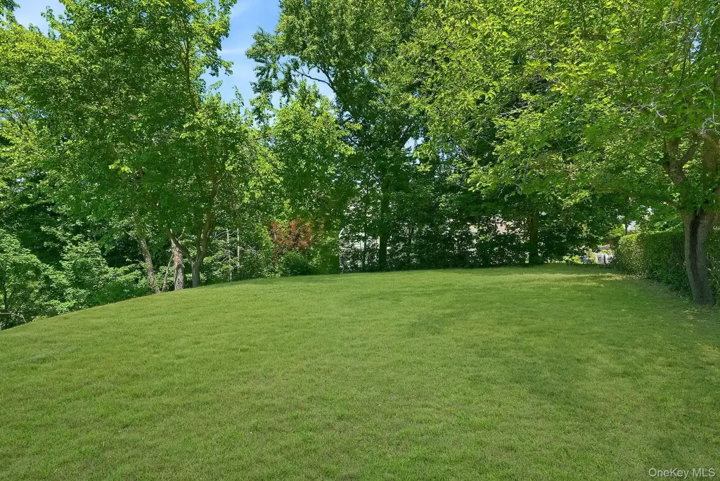 Picture 30