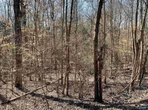 Guntersville Wooded Lot For Sale