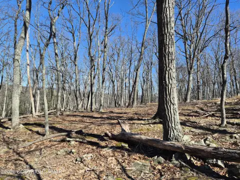 Land in Quaint Henryville Community