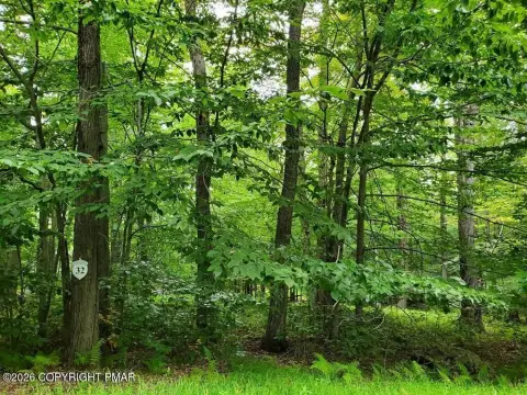 Pocono Lake Wooded Building Lot