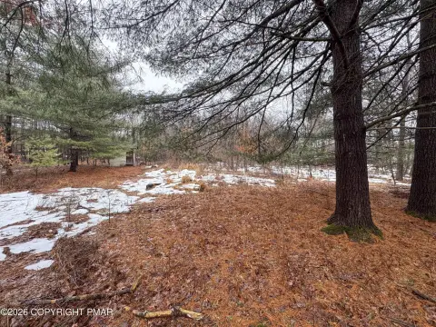 Lehighton Wooded Homesite Opportunity