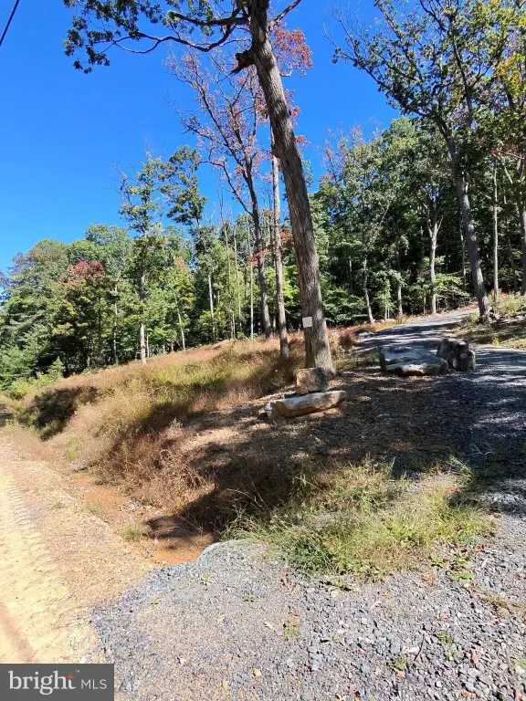 Picture 3
